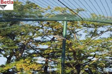 Siatki Radom - Siatka zabezpieczająca do ochrony - siatka na woliery do hodowli ptaków dla terenów Radomia